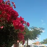 Casa Luminosa Bocacangrejo