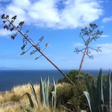 Bed & Breakfast Casa Luminosa Bocacangrejo