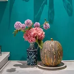 Casa Luminosa Bocacangrejo