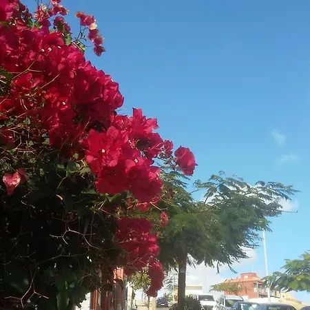 Casa Luminosa Bocacangrejo