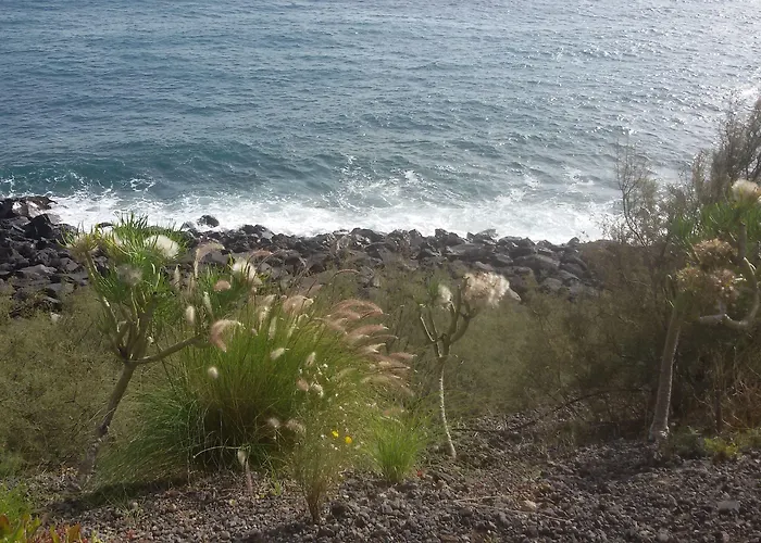 Casa Luminosa Bocacangrejo