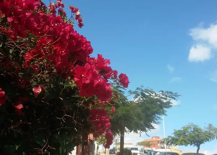 Casa Luminosa Bocacangrejo