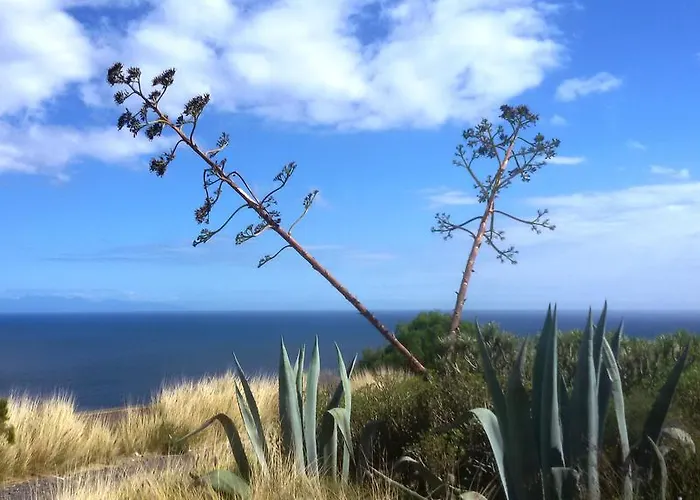 Oda ve Kahvaltı Casa Luminosa Bocacangrejo